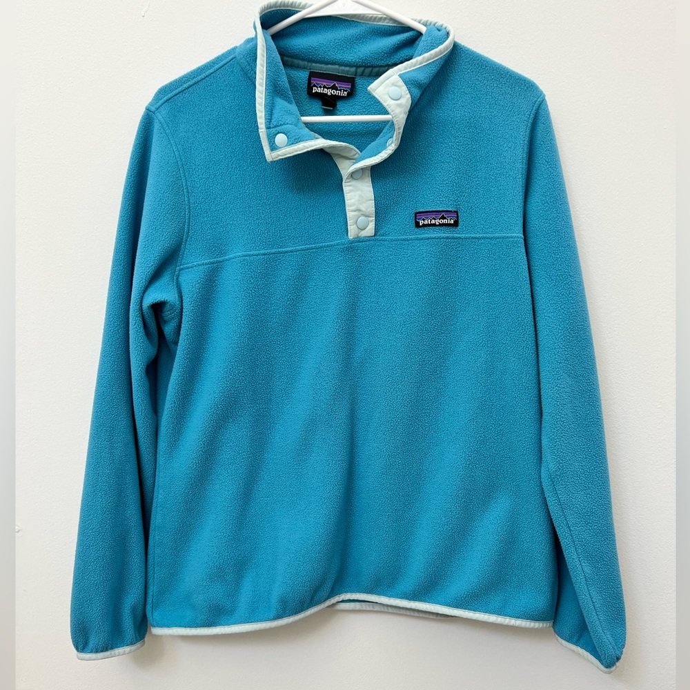 Blue Patagonia Pullover Size L